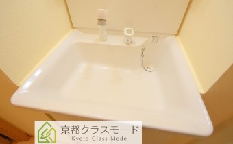 シャンプードレッサー