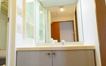 シャンプードレッサー　※室内写真は同マンション内の別タイプのものです。
