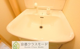 シャンプードレッサー