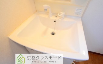 シャンプードレッサー