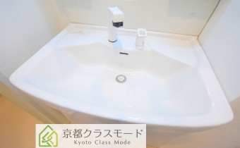 シャンプードレッサー