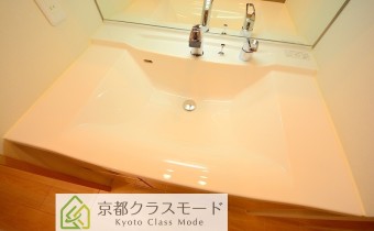 シャンプードレッサー