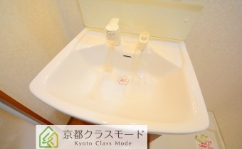 シャンプードレッサー