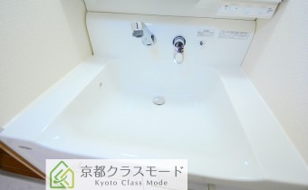 シャンプードレッサー