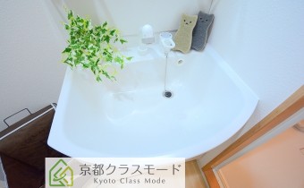シャンプードレッサー