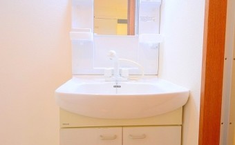 シャンプードレッサー