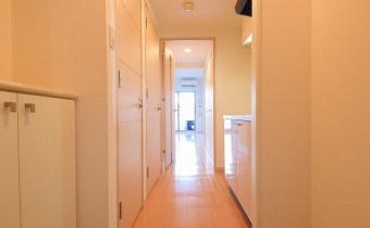 玄関は明るく、便利なシューズボックス付き