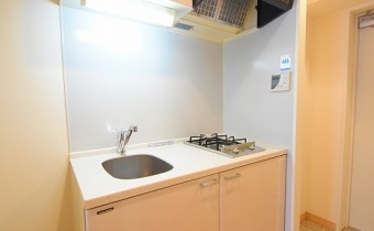 スマートな2口コンロのシステムキッチンです