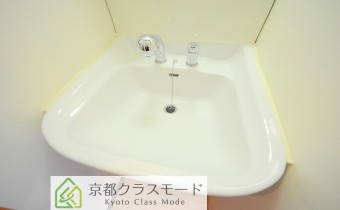 シャンプードレッサー