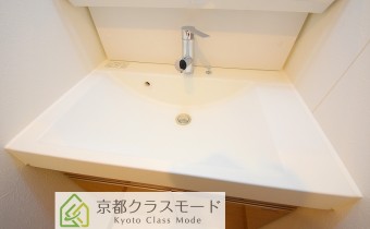 シャンプードレッサー