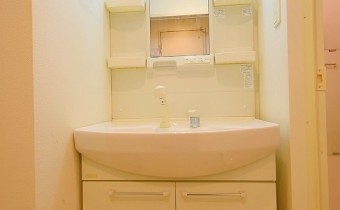 シャンプードレッサー