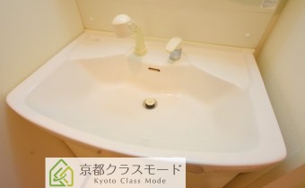 シャンプードレッサー