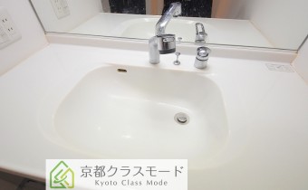 シャンプードレッサー