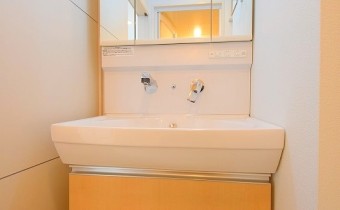 シャンプードレッサー