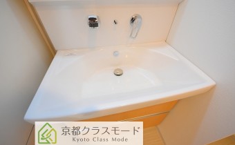 シャンプードレッサー