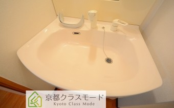 シャンプードレッサー