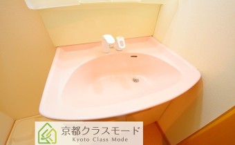 シャンプードレッサー