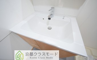 シャンプードレッサー