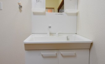 シャンプードレッサー