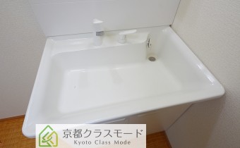 シャンプードレッサー