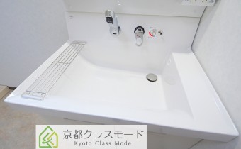 シャンプードレッサー