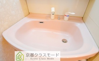 シャンプードレッサー