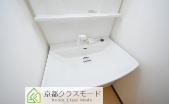 シャンプードレッサー