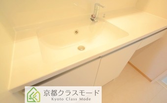 シャンプードレッサー