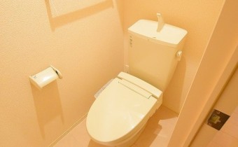 ウォシュレットトイレ　※この写真は同マンション206号室のものです