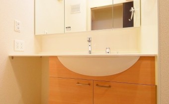シャンプードレッサー　※この写真は同マンション206号室のものです