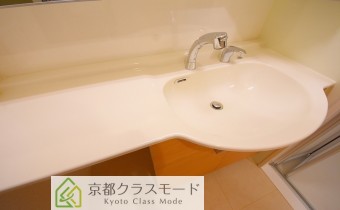 シャンプードレッサー
