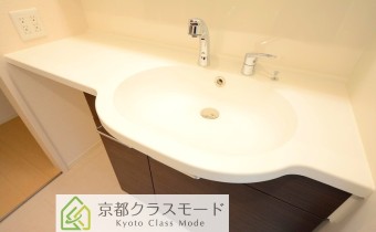 シャンプードレッサー
