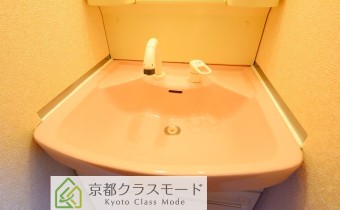 シャンプードレッサー　※写真は6号のものです