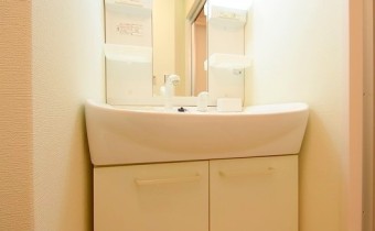 シャンプードレッサー