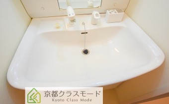 シャンプードレッサー