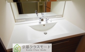 シャンプードレッサー