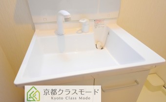 シャンプードレッサー※同マンション反転タイプの写真です。