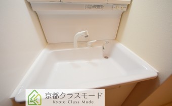 シャンプードレッサー
