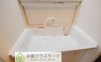 シャンプードレッサー