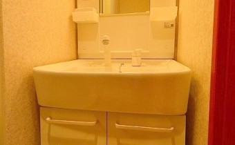 シャンプードレッサー