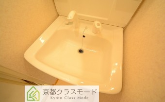 シャンプードレッサー