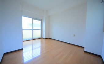 Room6.6