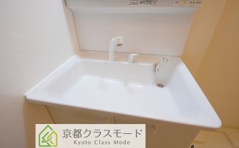 シャンプードレッサー