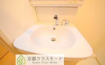 シャンプードレッサー