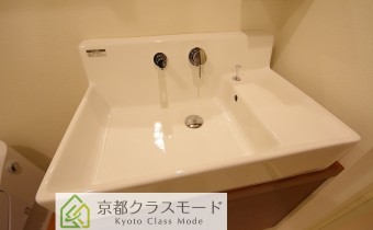 シャンプードレッサー