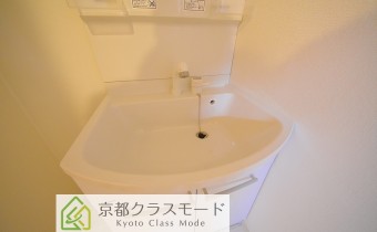シャンプードレッサー