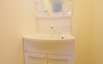 シャンプードレッサー
