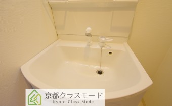 シャンプードレッサー