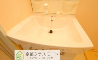 シャンプードレッサー