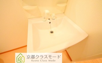 シャンプードレッサー